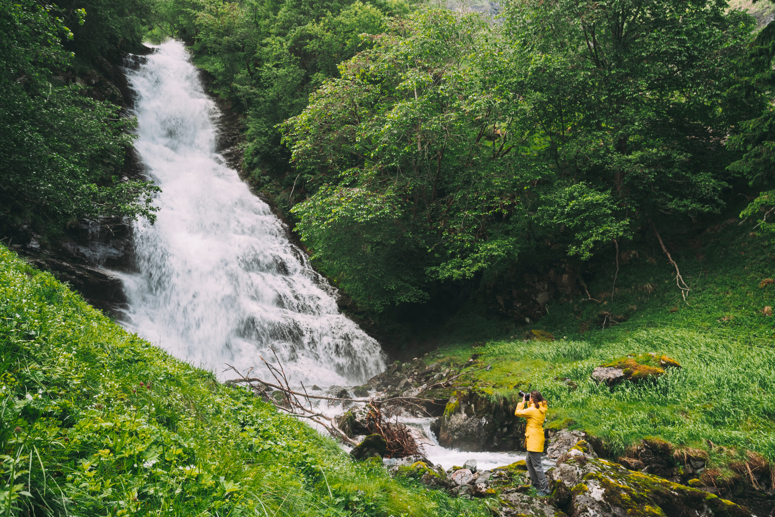 Aghanashini Waterfalls Trek That Takes You Through Hidden Forest Trails