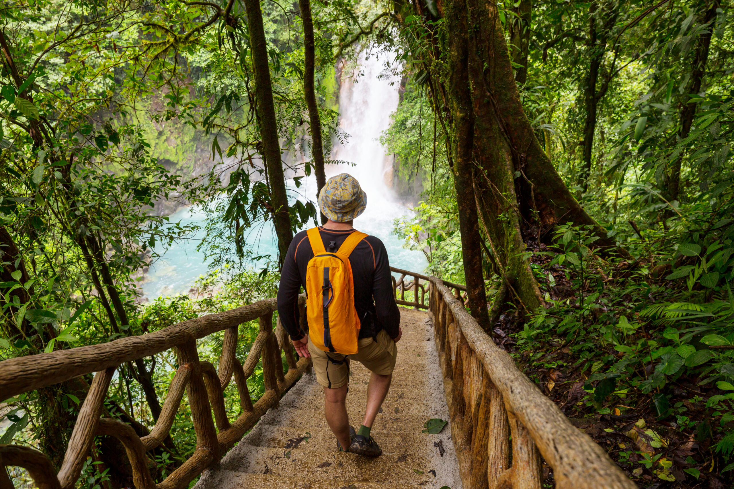Agumbe Backpacking Trip That Takes You Into The Heart Of Rainforest Beauty