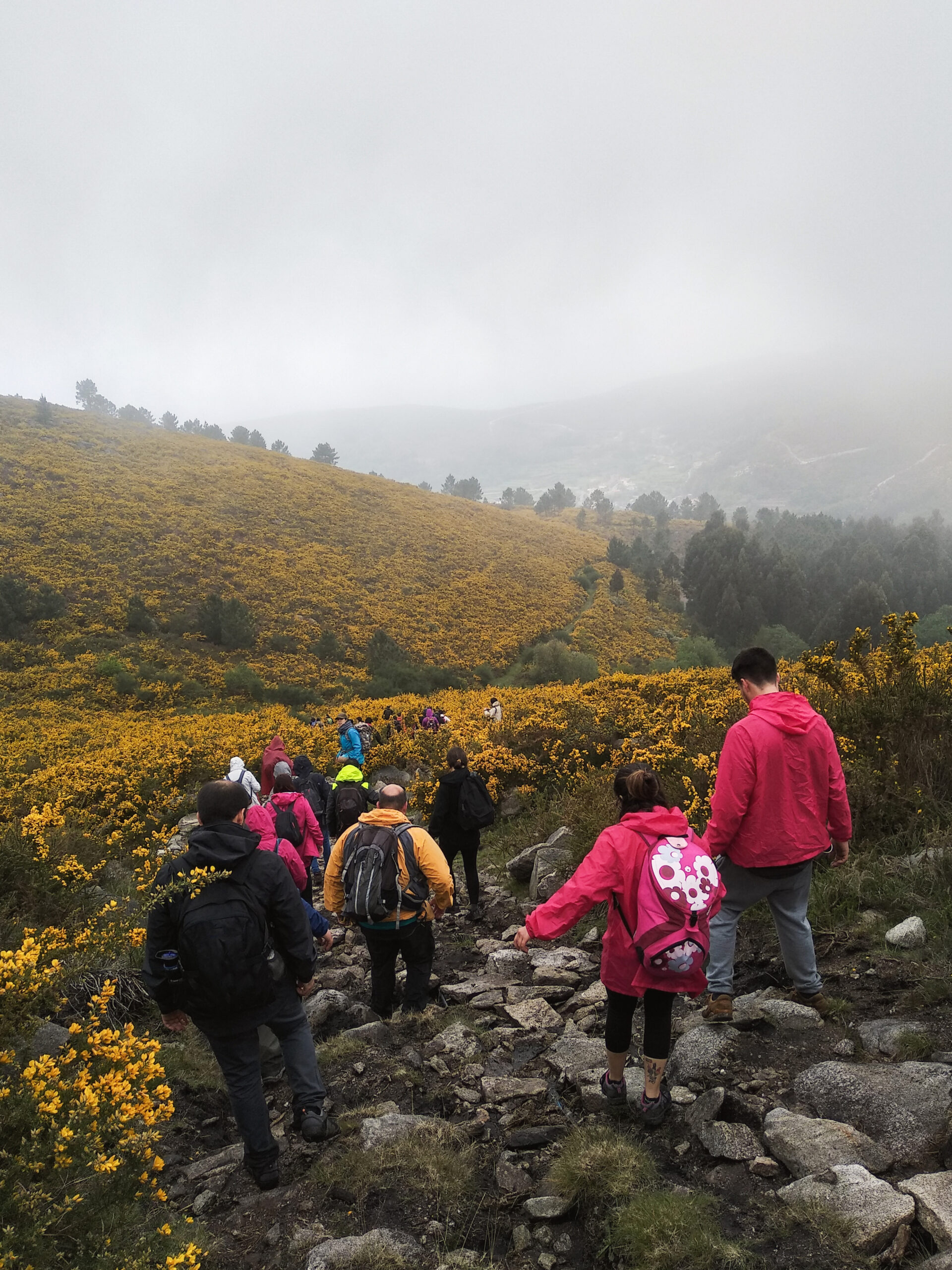 Scenic Treks In Karnataka That Offer Views Worth Every Step