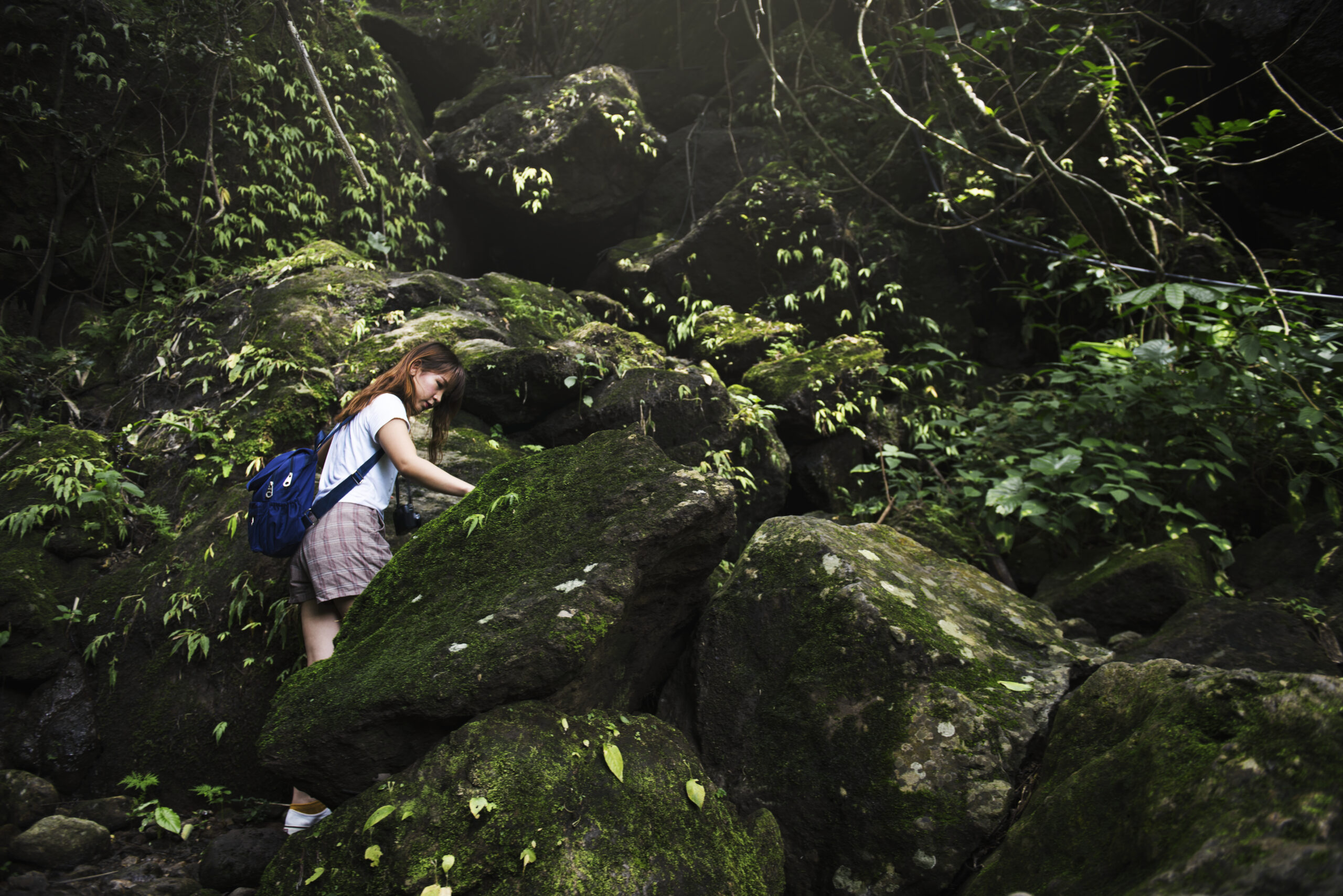 Explore Karnataka’s Untouched Rainforests Through Aghanashini Treks