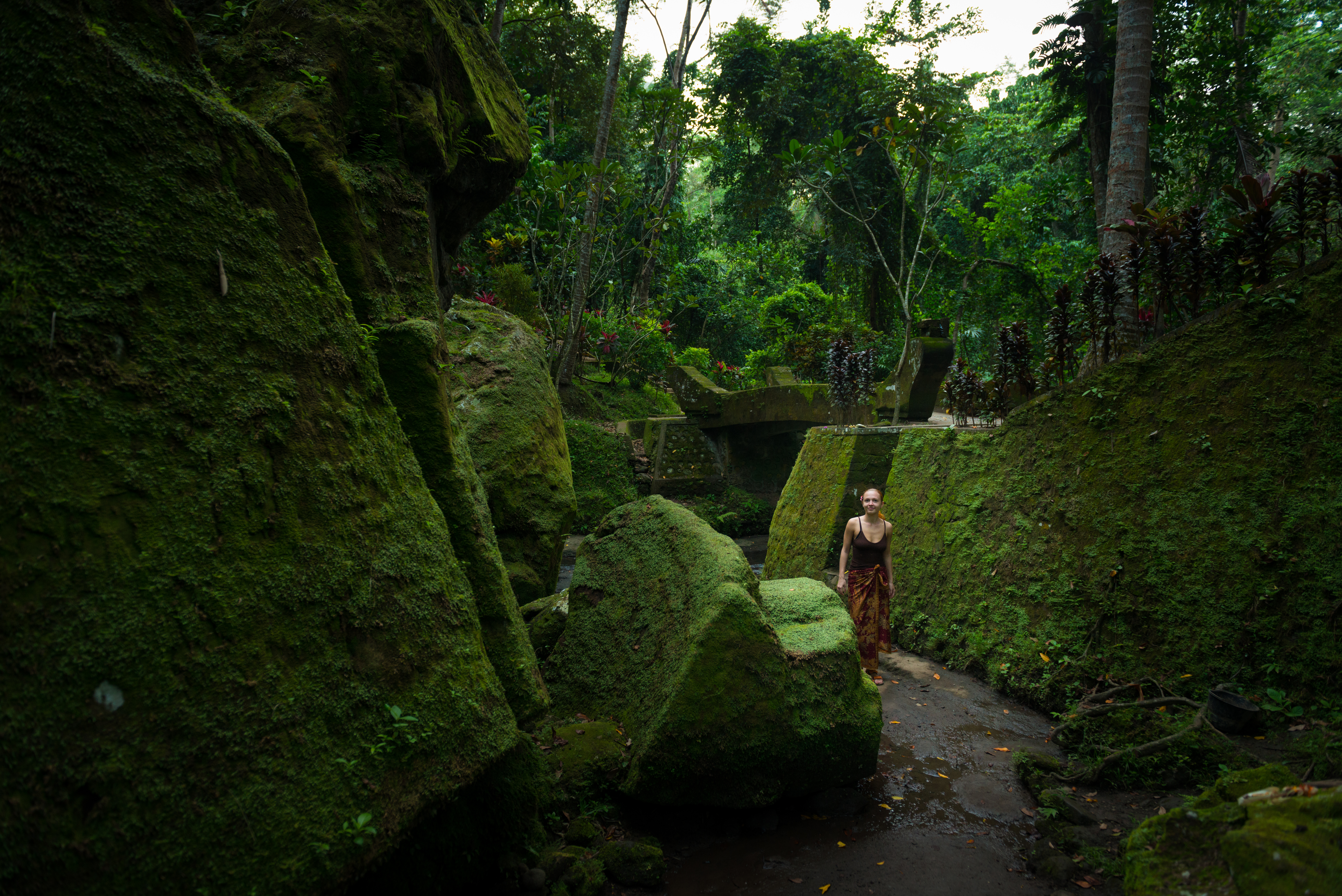 Hidden Rainforest Adventures That Make Aghanashini Unforgettable