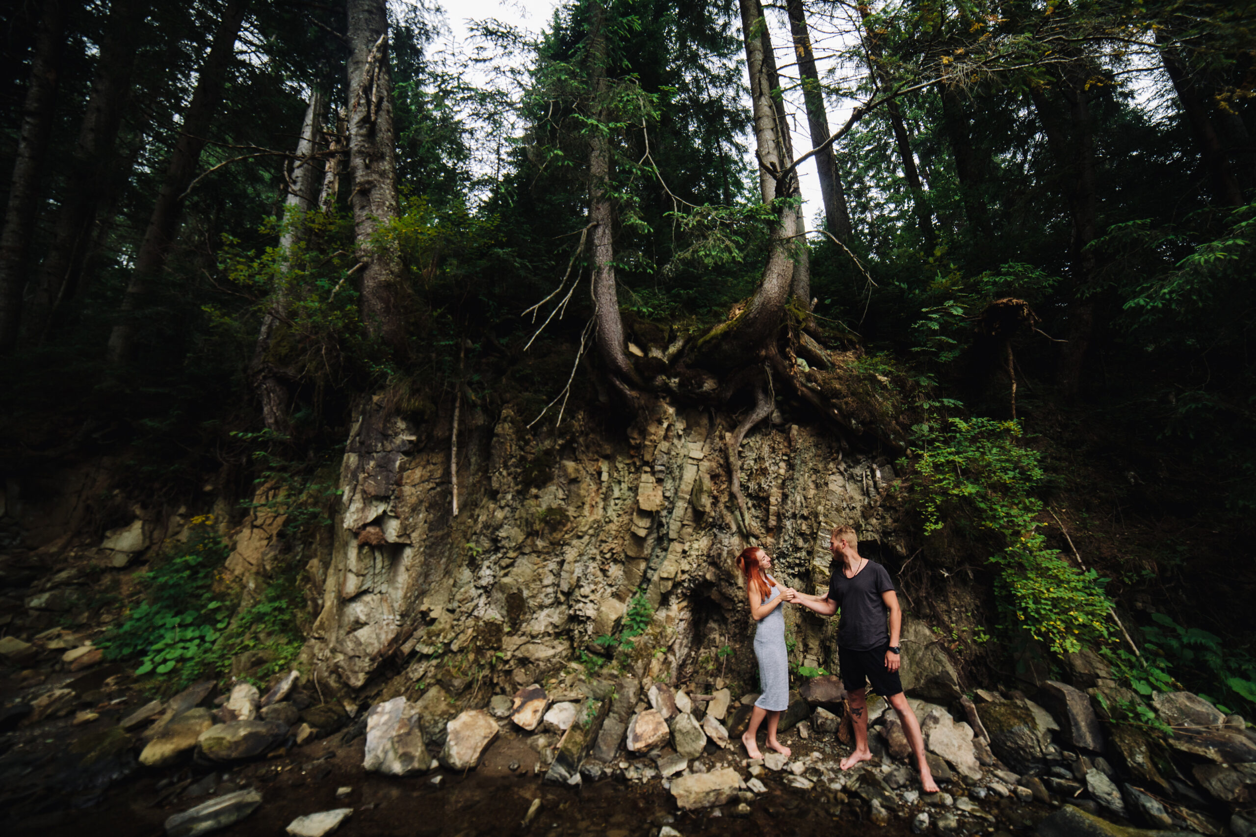 The Hidden Forests Of Aghanashini Waiting To Be Explored