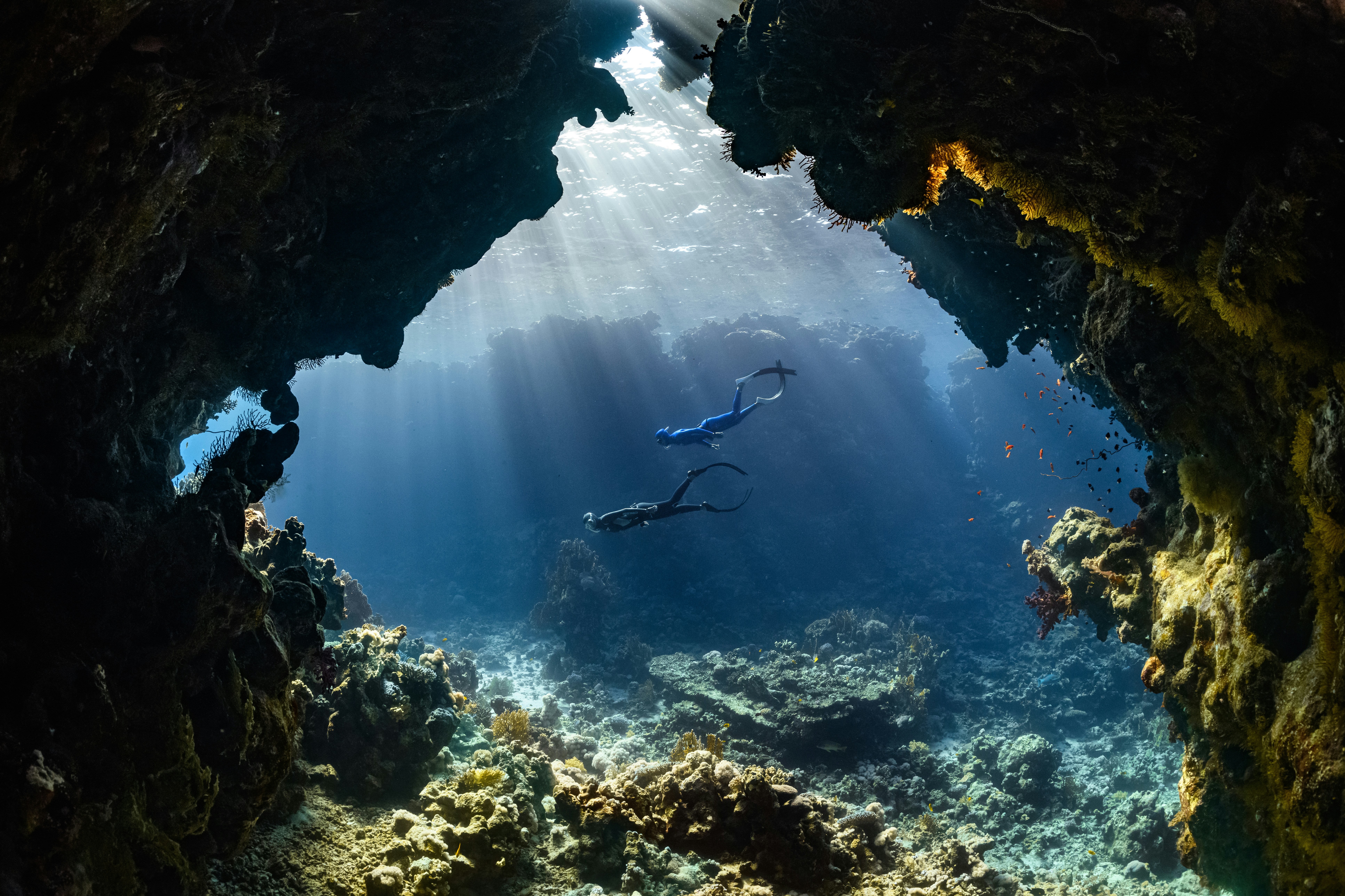 Netrani Island Scuba Diving: Cost, Best Time and What to Expect