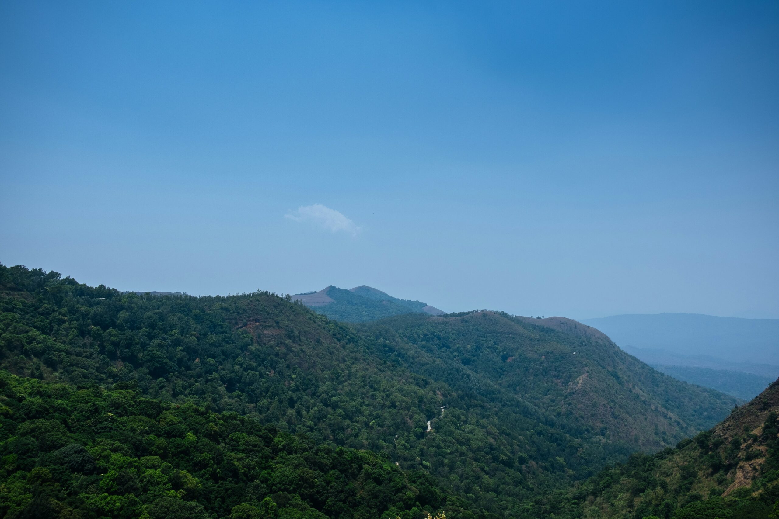 Explore Karnataka’s Hidden Forest Paradise In Aghanashini